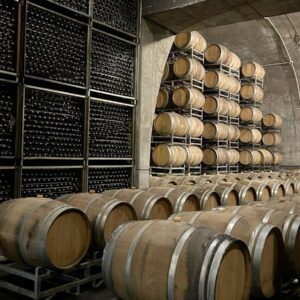 Degustación por Bodegas de Mendoza